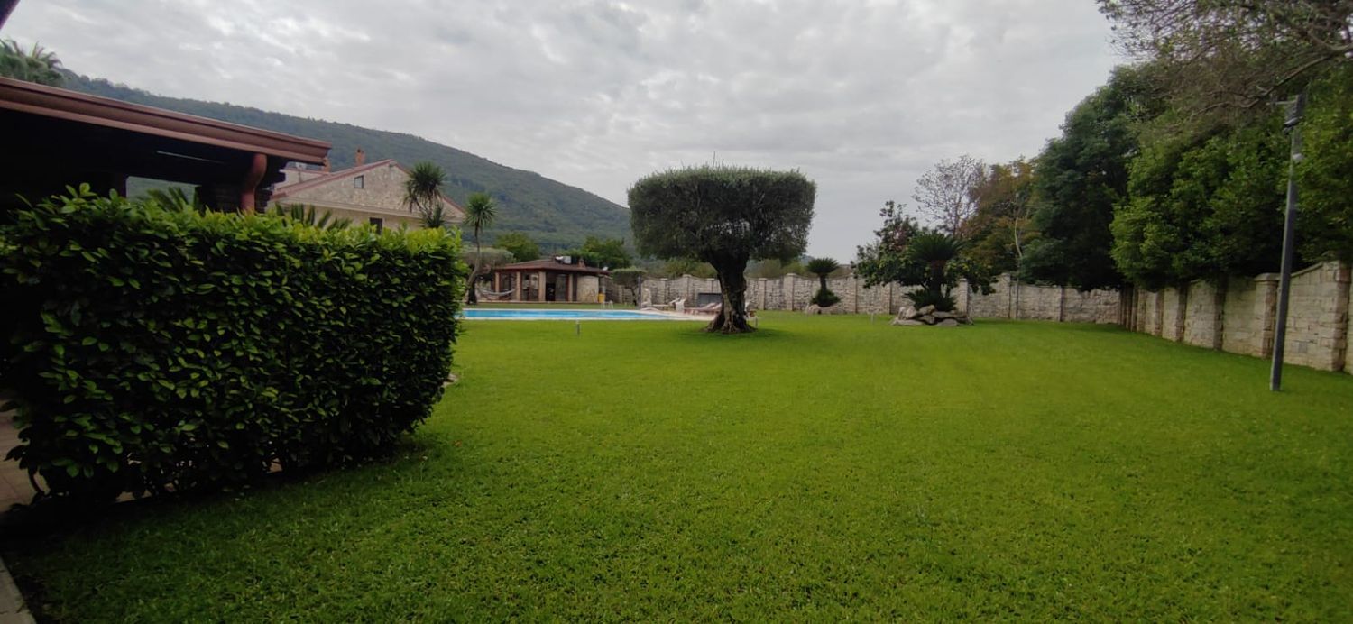 garden
